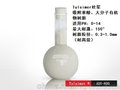 ADS-600大孔吸附苯酚树脂