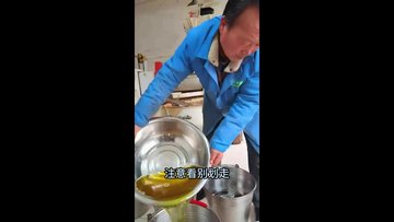 商用全自动榨油机冷热两用带壳核桃菜籽榨油机高出油率不冒渣