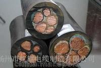 찶CEFR  CEPFR  CJPFR  CJVR