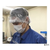 һ DFG-PET 31060