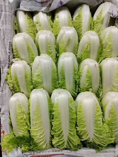 虎門(mén)食材配送新鮮白菜新鮮蒜薹,單位蔬菜配送送貨上門(mén)圖片