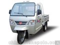 云南 福田五星250ZH-2JC全封闭三轮摩托车