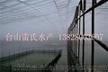 现在泥鳅的价格/雷氏水产sell/