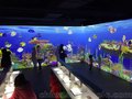 涂鸦画画水族馆