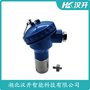 湖北漢開(kāi) 機(jī)殼振動(dòng)變送器SDJ-706B