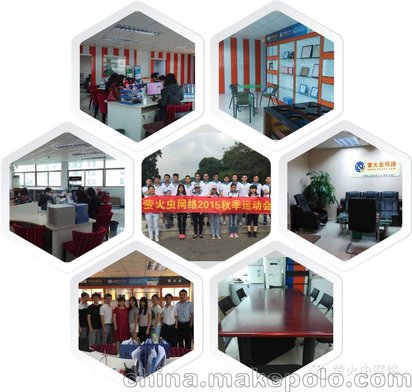 萤火虫网络 深圳专业网站建设公司 布吉网