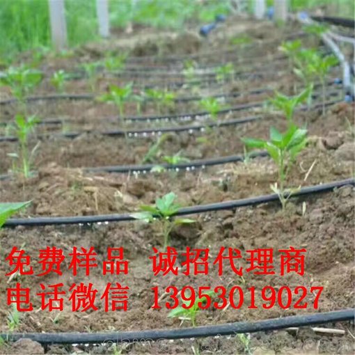 廠家批發(fā)生產(chǎn) 灌溉工具PE水帶灌溉帶滴灌帶圖片
