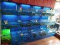 常州鱼缸定做酒店海鲜鱼缸大闸蟹鱼缸
