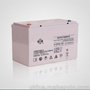 双登阀控式蓄电池6-GFM-100 12V100AH储能型UPS蓄电池