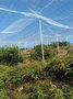 温室蔬菜种植柑橘脐橙种植覆盖防虫网防晒 抗紫外线 抗拉结实