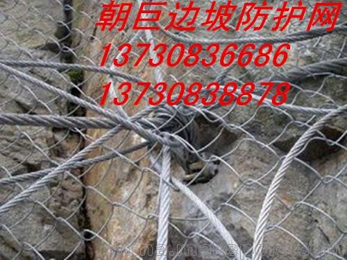 朝巨公司廠家供應(yīng)合川落石防護(hù)網(wǎng)、北碚主動(dòng)防護(hù)網(wǎng)圖片
