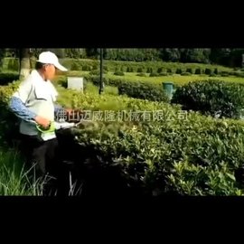 40V格力博HTF401-1单刃绿篱机修剪茶树果园修枝机