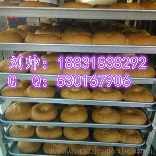 醒發(fā)箱、控制器、醒發(fā)室、醒發(fā)房主機 ，獨立控溫控濕、自行搭建圖片