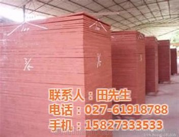 S齨ģ_ɭ(D)