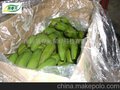 香蕉专用晟春元物理活性气调保鲜袋
