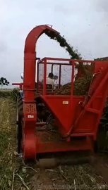 玉米秸秆回收机 悬挂式青饲料收割机 改装玉米青储机