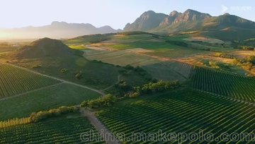 南非天阶庄园葡萄园区管理和酿造管理