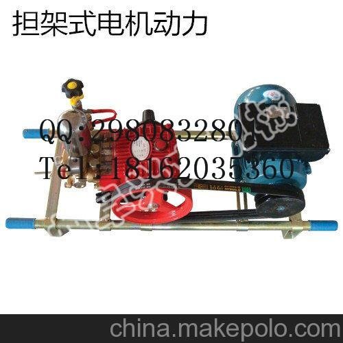 手推式汽油煙霧機(jī)  殺蟲噴霧器  高壓泵打藥機(jī)圖片