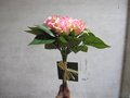 华检商品检验，第三方验货公司，第三方验货服务，外贸验货服务