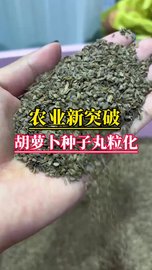 胡萝卜种子丸粒化 种子丸粒机 种子丸粒化设备 低温种子丸粒化技术