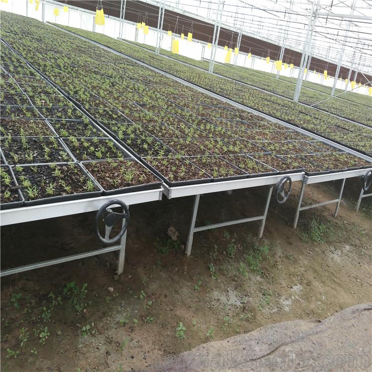 直销晨超 q235 可左右移动各30公分 温室移动苗床