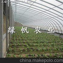 供应几型钢冬暖式温室大棚 土墙体几型钢  蔬菜大棚  造价低