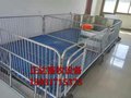 双体猪产床 定位栏仔猪母猪分娩床 产床保温箱电热板