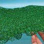张家港三维网 喀什植被网