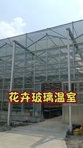V96智能溫室 玻璃溫室大棚廠家