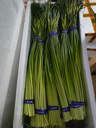珠海蔬菜配送新鮮豬肉新鮮黃瓜,工地蔬菜配送批發(fā)配送圖片