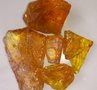 松香油脂行情_较大的松香甘油酯厂家推荐