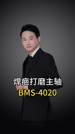 焊疤打磨主轴BMS-4020