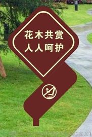 zW(wng)ӡˢS