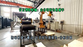 氫氧化鈉全自動(dòng)拆包機(jī)器人 50kg片堿全自動(dòng)拆包機(jī)械手性能