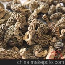 秀珍菇批發(fā) 干海帶出廠(chǎng)價(jià)格 干貝網(wǎng)上進(jìn)貨批發(fā)圖片