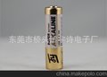 摩托车防盗遥控器电池图片