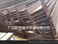 广东顺德厚泽公司专营：钢板桩