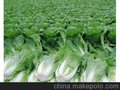 南沙饭堂承包—番禺食堂承包