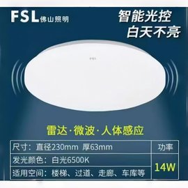 感應(yīng)吸頂燈