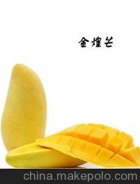 ɫâɫâIʮAҼ̖(ho)̳