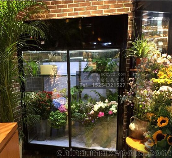 鮮花柜保鮮展示柜 風冷鮮花店飲料立式陳列柜單雙門定制冷柜圖片