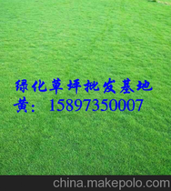 ƺ Gƺ  ƺr