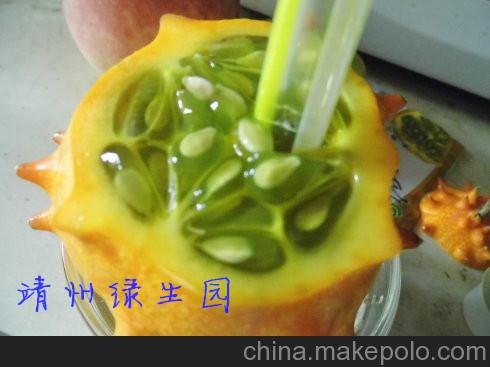 火參果種子、火參果鮮果、刺角瓜、湖南火參果種植園圖片