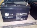 三瑞蓄电池12V100AH 蓄电池中的黑马