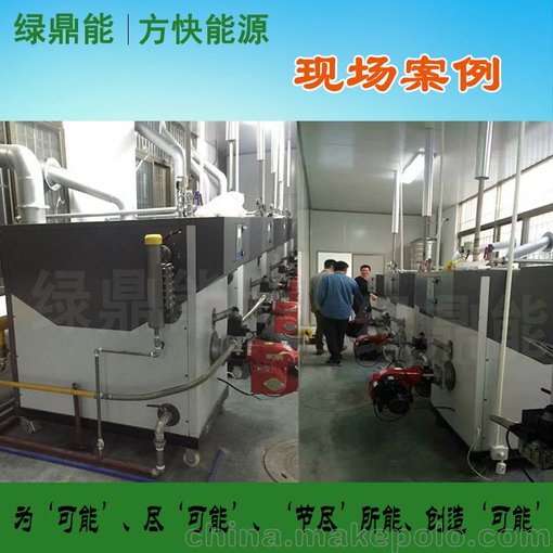 綠鼎能燃?xì)忮仩t50-500KG 天然氣煤氣液化氣蒸汽鍋爐工業(yè)鍋爐圖片