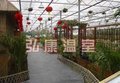 厂家直销玻璃生态餐厅包设计包施工包售后