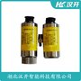 SYSE11-01-060-03-02-01 垂直振動傳感器