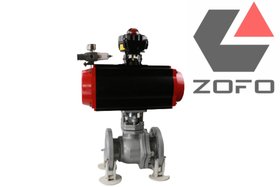 ZOFO  -(dng)ry-(du)ضҺwȅ(sh){(dio)(ji)