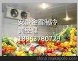 供应厂家直销2015新型宣城水果保鲜冷库安装
