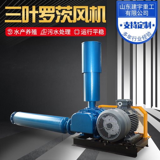 山東建宇重工三葉 羅茨風(fēng)機供應(yīng)商 源頭發(fā)貨 實力廠商圖片